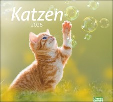 Kalender 2026 - tm Katzen Bildkalender
