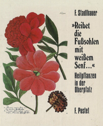 Reibet die fußsohlen mit - fußsohlen,