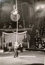 Zirkus Artisten Artistik