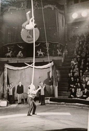 Zirkus artisten artistik - artisten,