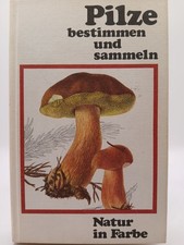 Pilze bestimmen und sammeln