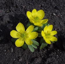 @ (◕‿◕)\@ ANGEBOT 