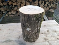 DEKO Baumstamm Holz Klotz