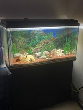 200l Aquarium komplett mit