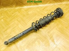 Federbein Pralldämpfer