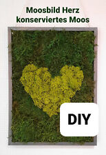 DIY Set Kit Herz Moosbild Mooswand 30 x 23 konserviertes Moos ewiges Leben