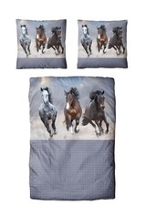 Traumschloss Renforcé Bettwäsche 100% Baumwolle - Pferde Trio pflegeleicht weich