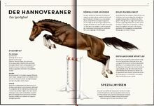 Lebensgroß: Pferde aus aller