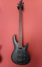 Esp LTD B-204 E-BASS See Thru