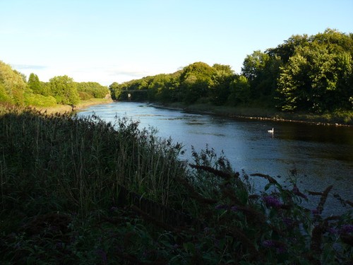 Foto fluss bladnoch - foto,