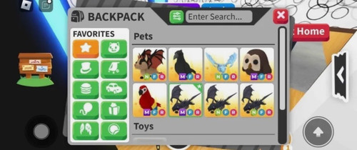 Adopt pets cheap - adopt,