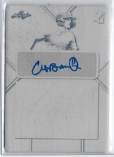 2021 leaf perfect - 2021,