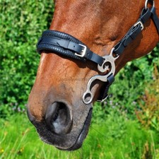 Barock hackamore kompletter - barock,