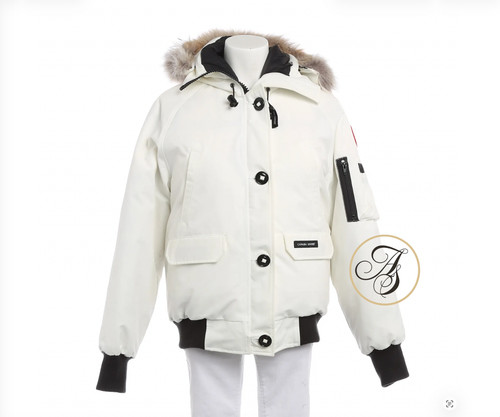 Canada goose chilliwack - canada,