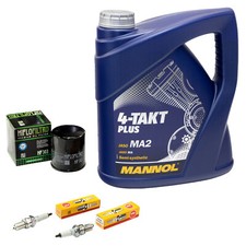 Inspektionspaket Öl 4L für