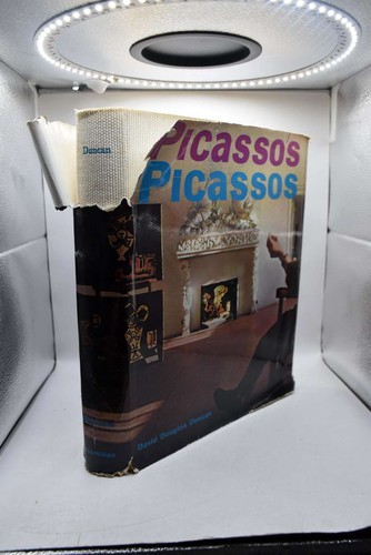 Picasso picassos the - picasso's,