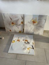 Ikea Pjätteryd Bilder 3 Stück 57x57cm