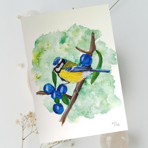 Mini blaumeise gemälde - blaumeise,