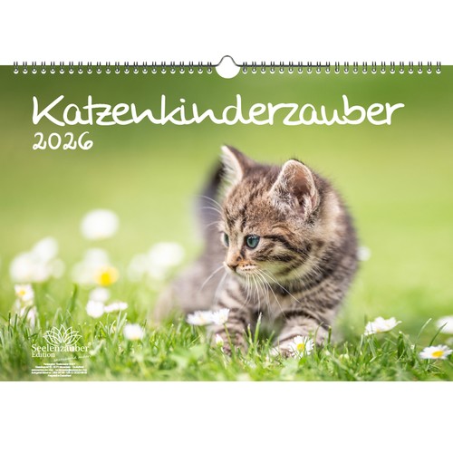 Katzenkinderzauber din - katzenkinderzauber, a3