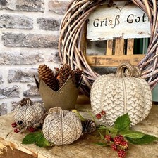 Kürbis Deko Zierkürbis