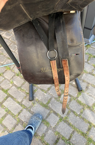 Dressursattel aus leder - dressursattel,
