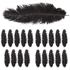 20 x natuerliche Straussenfeder 25-30 cm schwarze Partydekoration Z1G72358