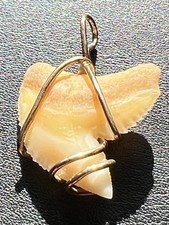 SQUALO Zahn mit 9 Karat