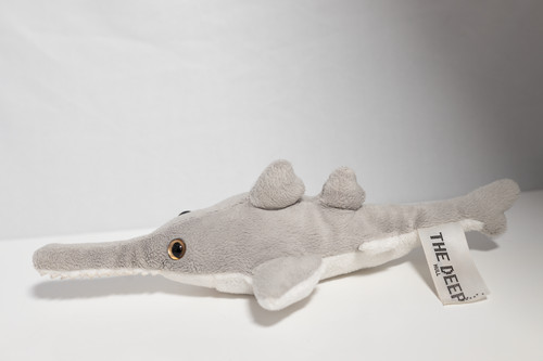 Kleiner weicher sägefisch - kleiner,