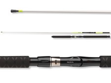 Daiwa Sealine X'treme