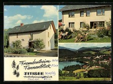 Titisee, Fremdenheim Tannenblick P. Flury, Gesamtansicht, Ansichtskarte 