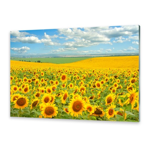 Acrylglasbilder wandbild aus - acrylglasbilder,