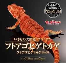 BANDAI The Diversity of Life