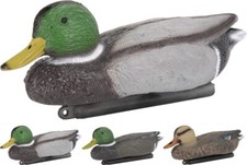 44075 Teichente Schwimmente