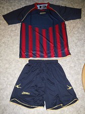 AKTION !   Kurzarm-Trikot-Set