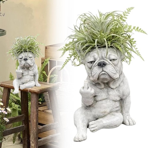 Hund blumentopf franz - hund,