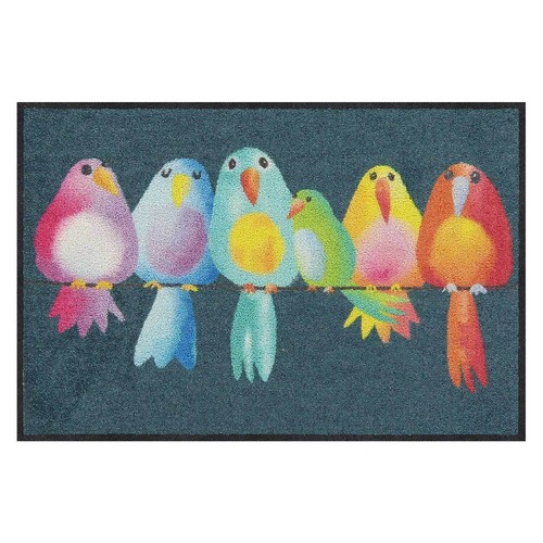 Salonloewe rainbow birds - salonloewe,