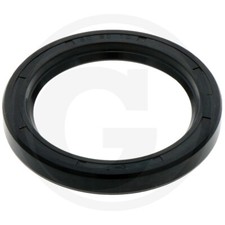 Dichtring Kurbelwelle für