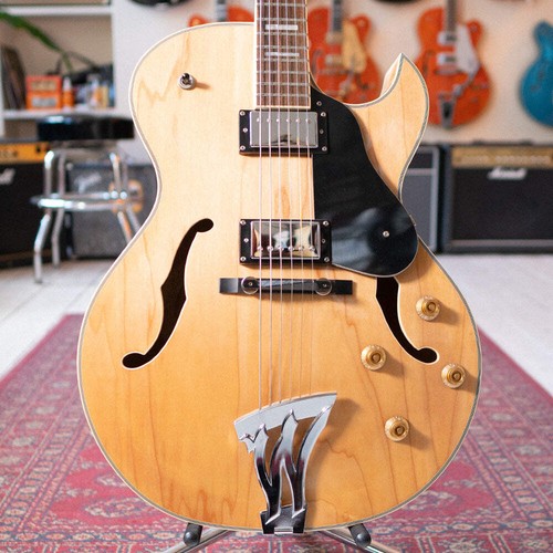 Washburn hollowbody natur - j3,