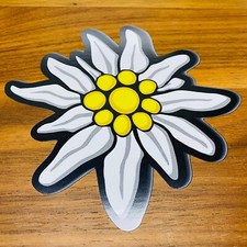 Edelweiß ✔ Alpen ✔ 15cm