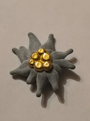 Anstecknadel edelweiß - anstecknadel,