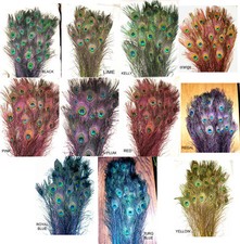 10 Stem Dyed Iridescent