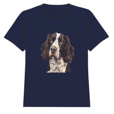 Springer Spaniel Hund Tiere