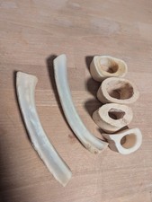 Knochen vom rind aus - rind, und