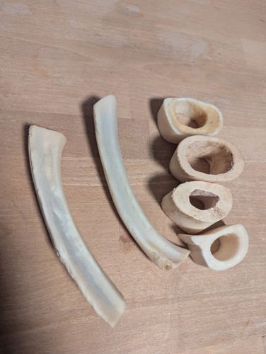 Knochen vom rind aus rippe - knochen,