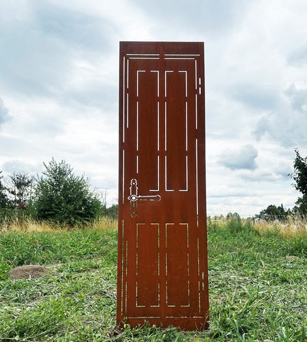 Sichtschutz tür 165 50 - tür,