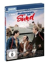 Zugvogel am Sund  von Hans