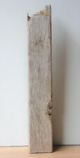 Treibholz Schwemmholz Driftwood 1 XL Balken Terrarium Dekoration  Regal 56 cm