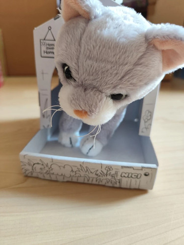 Nici katze haus 41562 - katze, im