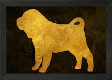 Shar Pei Hund Gerahmtes