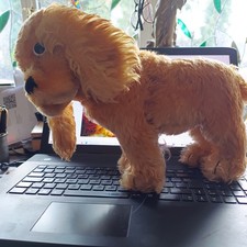 Steiff Hund Cocker Spaniel "Revue Susi" KF TOP  ca.30 cm  u. Weitere Tiere ...